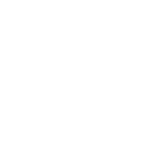 System